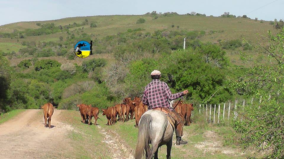 Autorizaciones de Pastoreo de animales