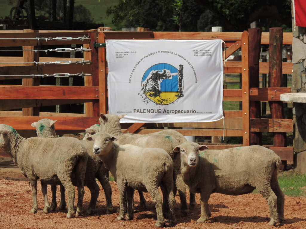 IMAGEN DE LANARES 