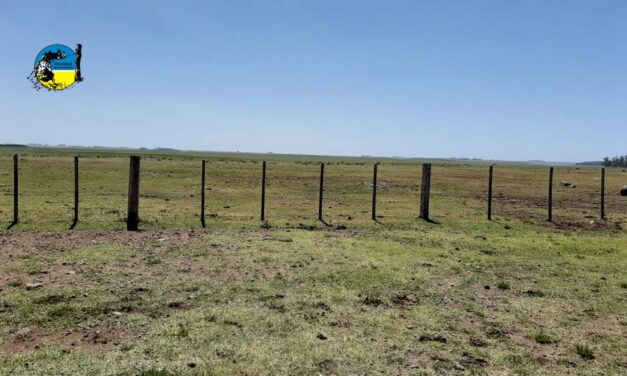 Se prorrogó pago BPS rural hasta el 31 de mayo