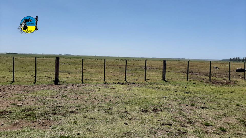 Se prorrogó pago BPS rural hasta el 31 de mayo