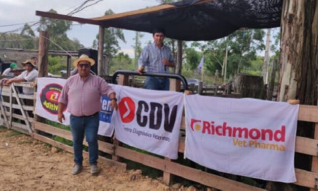La Pedrera: Feria ágil con valores corrientes