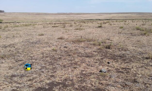 Sequía: Tasa de crecimiento del campo natural