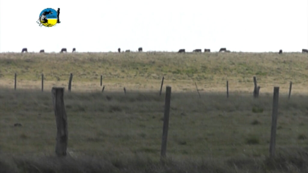 imagen de campo, colonización entregará tierras a mujeres rurales