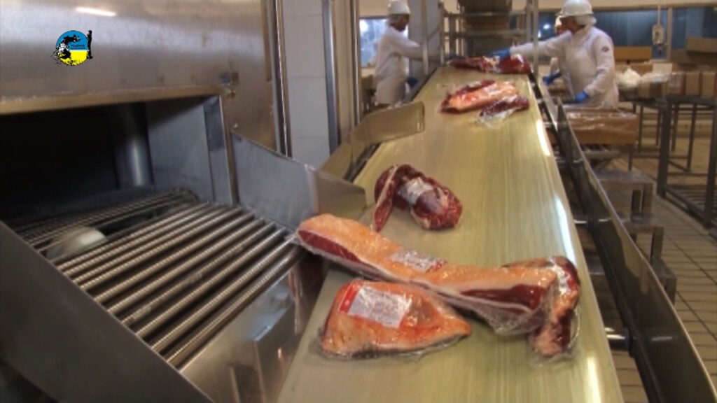 IMAGEN DE CARNE BOVINA PAGÓ U$S 316 MILLONES DE ARANCELES EN 2022