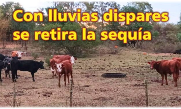 Palenque Rural: lluvias dispares se retira la sequía