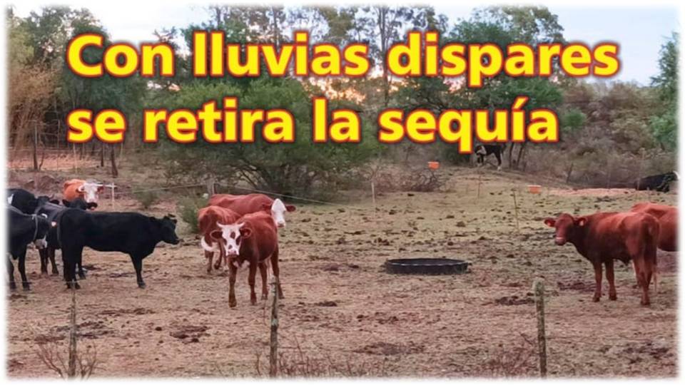 Palenque Rural: lluvias dispares se retira la sequía