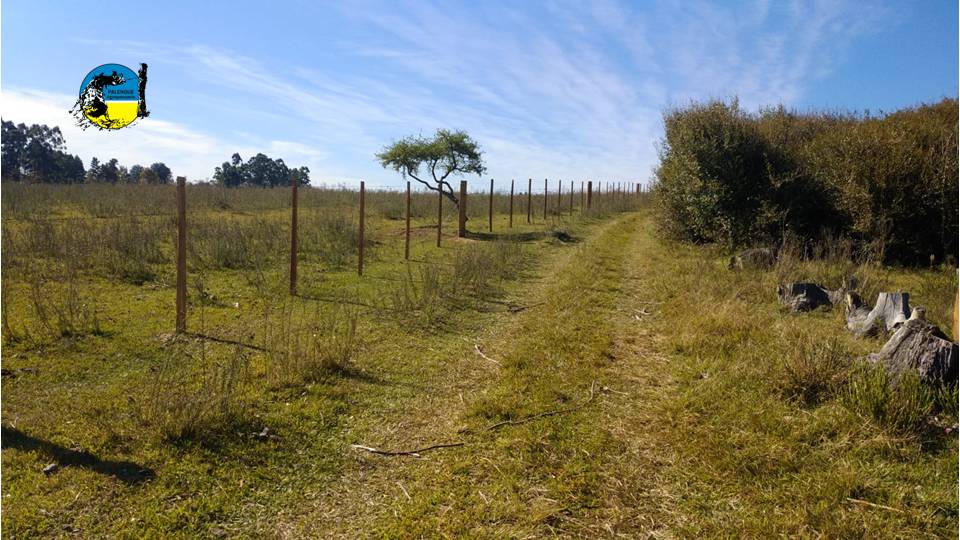 IMAGEN DE CAMPO, EXONERACIÓN IMPUESTO A PRIMARIA PARA PRODUCTORES