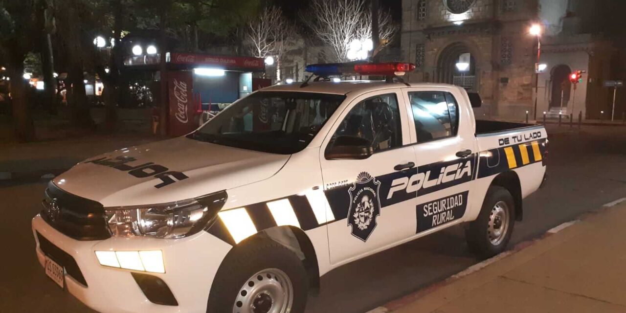 Brigada Rural incauta armas y animales de caza