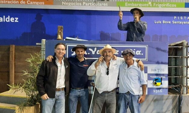 Don Tito vendió toda la oferta