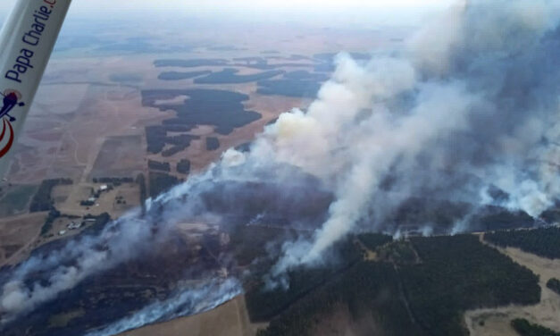 Avances positivos en prevención y control de incendios