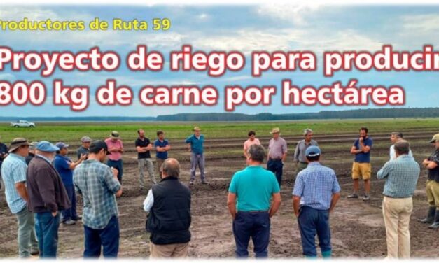 Palenque Rural: proyecto de riego