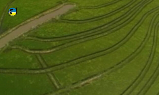Relevamiento de chacras de arroz zafra 2022/2023