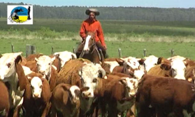 Nueva prórroga para el pago del BPS Rural
