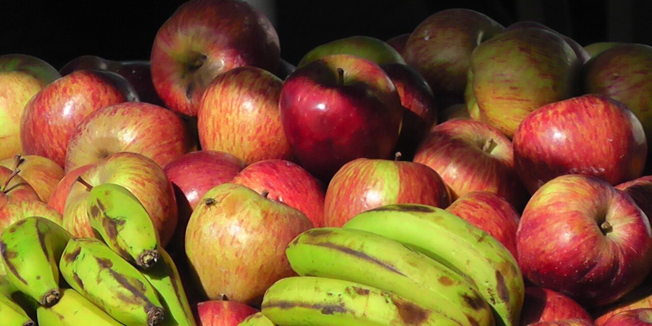 1º de Junio inicia Registro Nacional FrutiHortícola