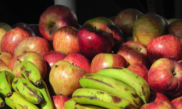 1º de Junio inicia Registro Nacional FrutiHortícola