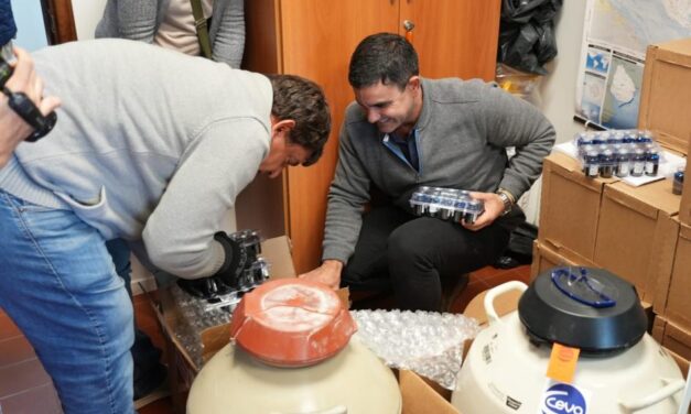 Influenza aviar: se desecharon vacunas de México