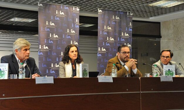 «Uruguay está bien parado en los mercados financieros»