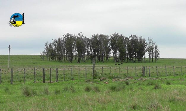 Compraventas de tierras año 2022