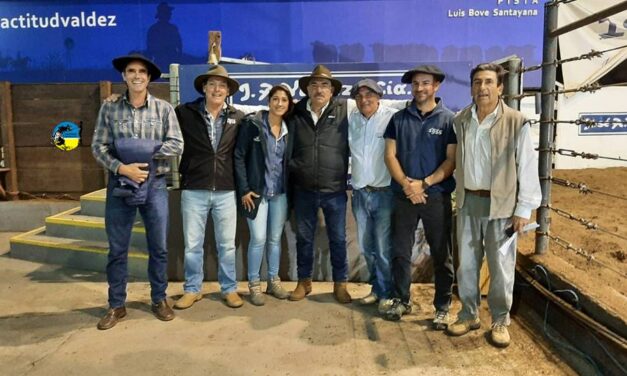 Don Tito: Mercado ágil con buenos valores