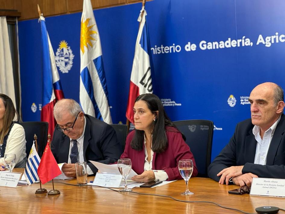 imagen de autoridades del mgap, uruguay y china avanzan en negociaciones 