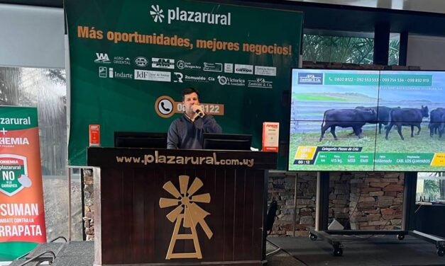 Plaza Rural comercializó 10.692 vacunos