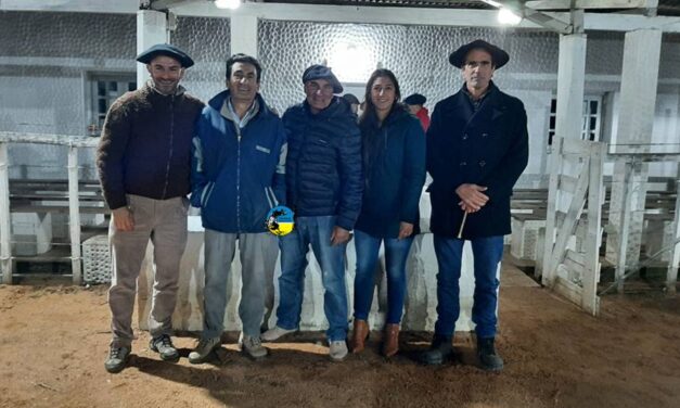 Ansina: sigue demanda por ganado de reposición