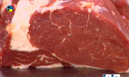 Brasil vio reducido el valor de sus exportaciones de carne vacuna