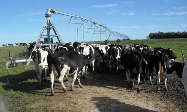 Colonización apoyará predios de productores lecheros