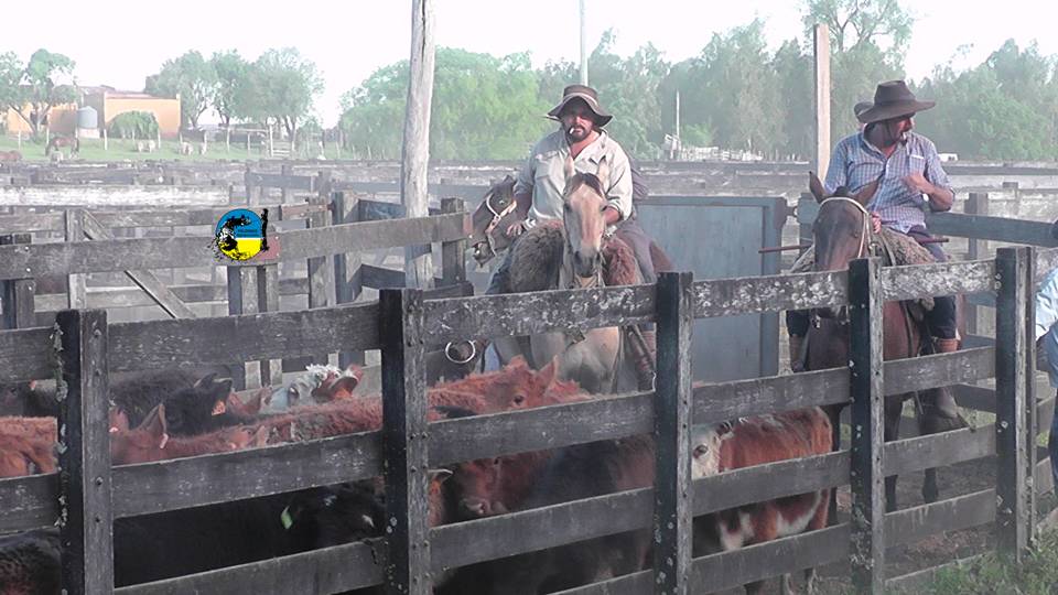 IMAGEN DE ASALARIADOS RURALES, SALARIOS RURALES JULIO 2023