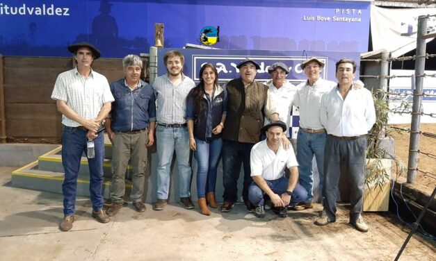 Don Tito: ventas totales en un día de primavera