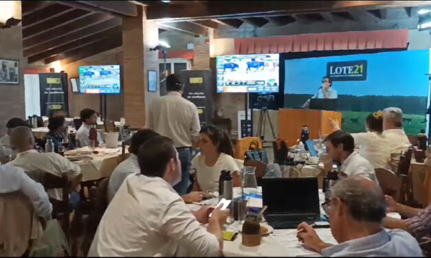 Lote 21 dispersó el 90.8% de la oferta