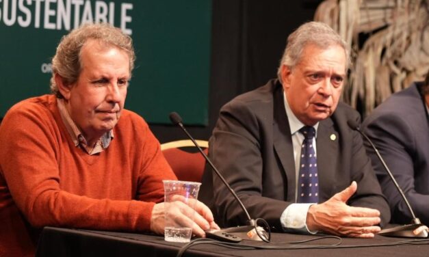 Datos preliminares DICOSE 2023