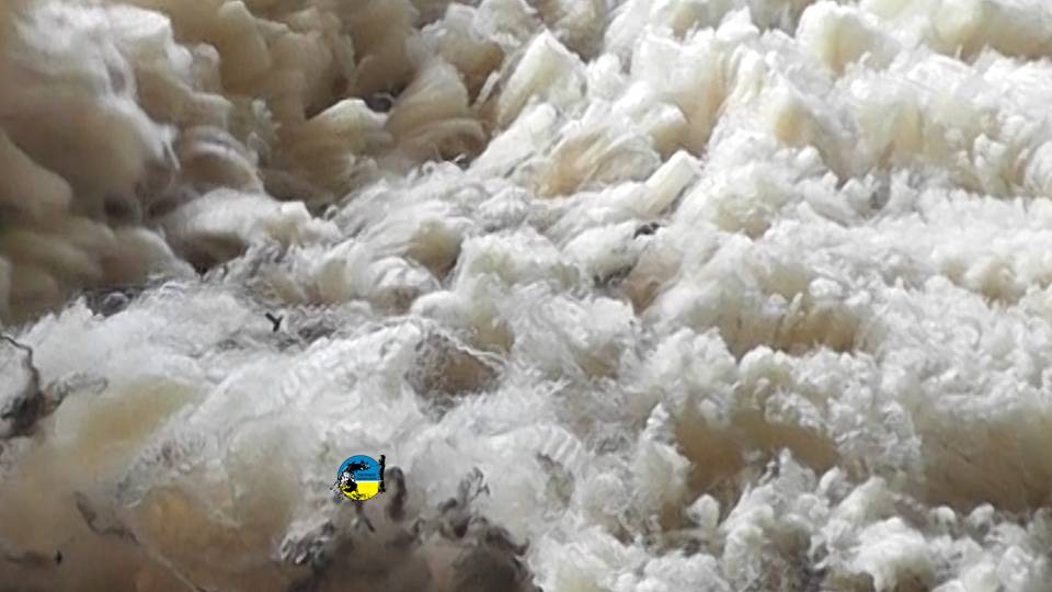 Fuerte venta de lana corriedale en el mercado local