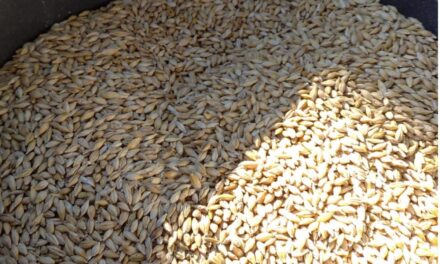 Mercado granelero con su mira en cultivos de invierno