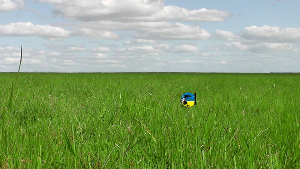 IMAGEN DE CAMPO, ARRENDAMIENTOS