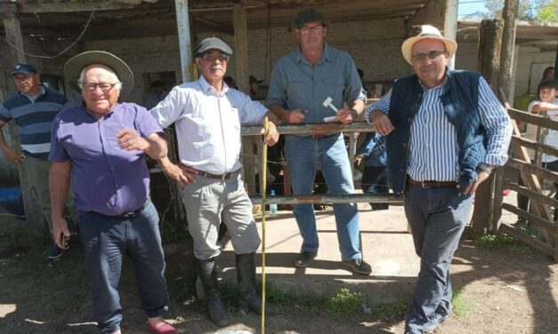 Batoví: Dificultad en lanares y buena venta de vacunos