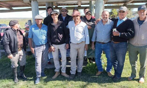 La Sebiana: Mercado ágil y ventas totales
