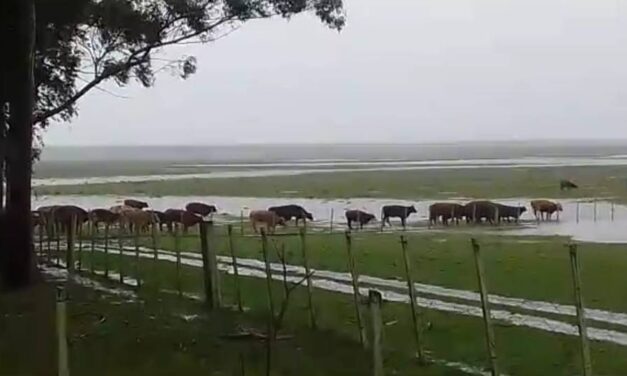Lluvias mes de Agosto 2026