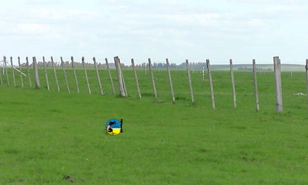 Venta de tierras en el primer semestre del 2023