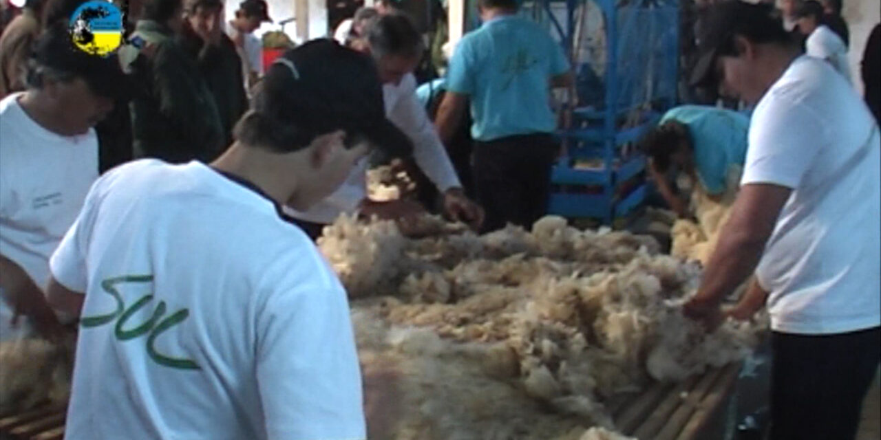 El mercado de lanas sigue activo