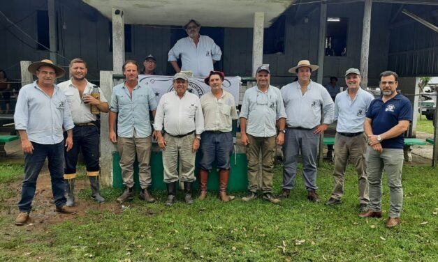 Curtina: Flecha para arriba en la reposición