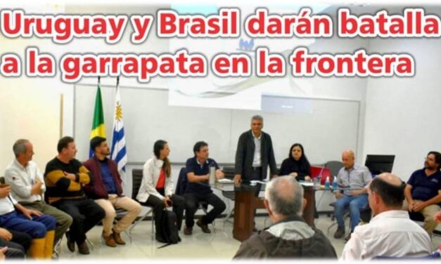 Palenque: Uruguay y Brasil darán batalla a la garrapata