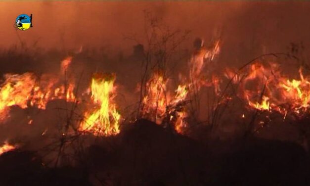Desde el 1º de noviembre se prohíbe quema de campos