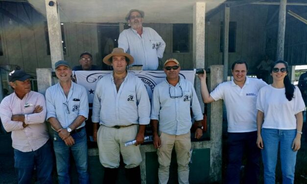 Curtina: Una gran feria para cerrar el año