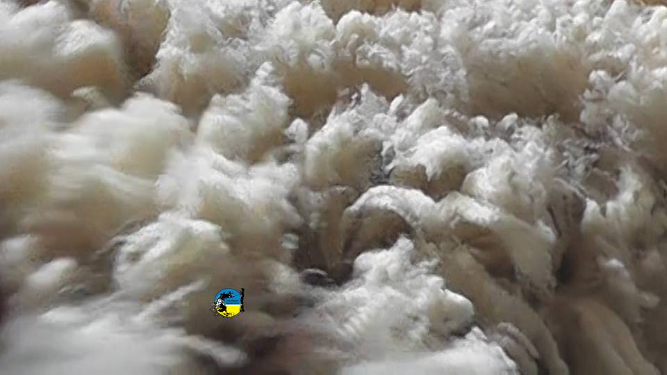 imagen de lana, venta de lana merino en el mercado interno 