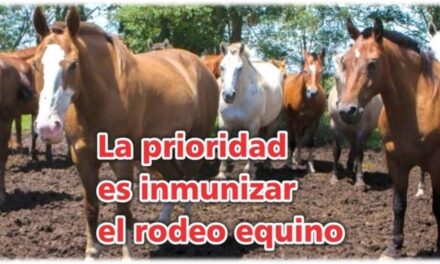 Palenque Rural: la prioridad es inmunizar el equino