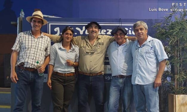 Valdez terminó el año con ventas totales en Don Tito