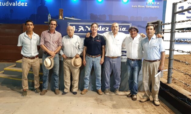 Otra buena feria en Don Tito