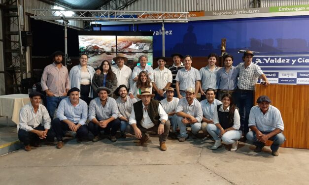 Gran remate de Cosecha 2023: máximo U$S 8.100
