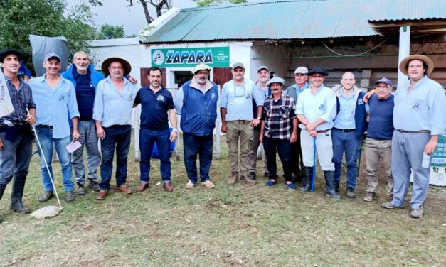 Zapará: Una feria para un gran brindis de fin de año